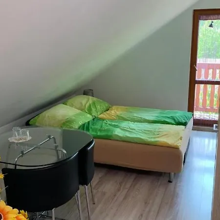 Konukevi Penzion *
